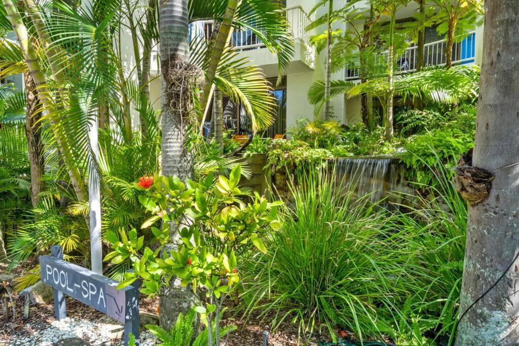 Coco Bella Dream In Surfers Paradise Gold Coast Extérieur photo