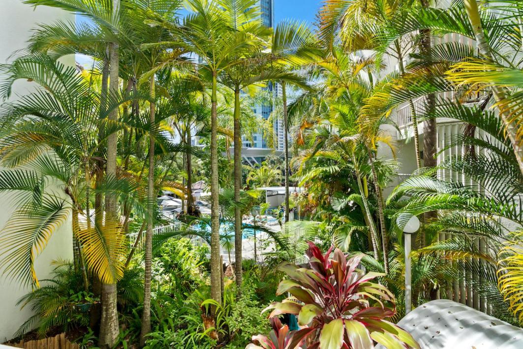 Coco Bella Dream In Surfers Paradise Gold Coast Extérieur photo